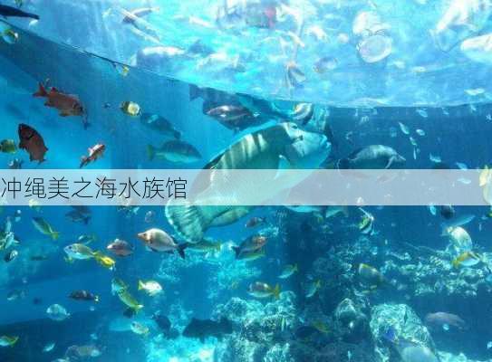 冲绳美之海水族馆