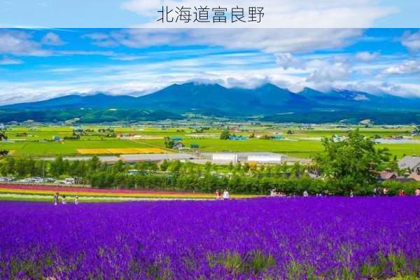 北海道富良野