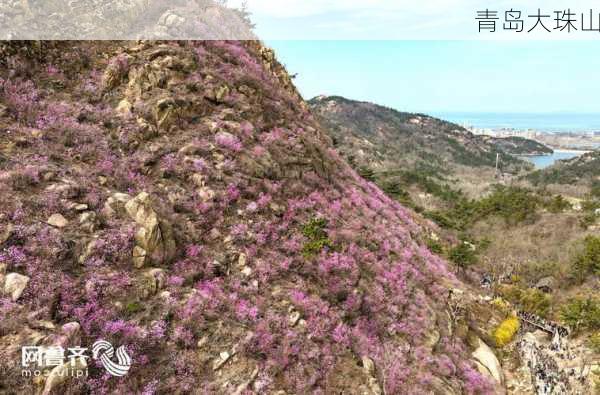 青岛大珠山