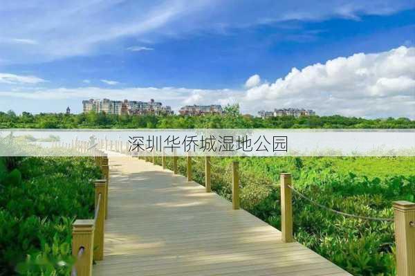 深圳华侨城湿地公园