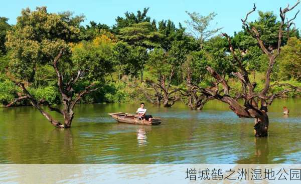 增城鹤之洲湿地公园