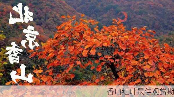 香山红叶最佳观赏期