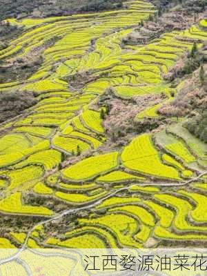 江西婺源油菜花