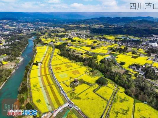 四川芦山