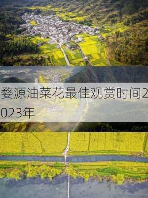 婺源油菜花最佳观赏时间2023年