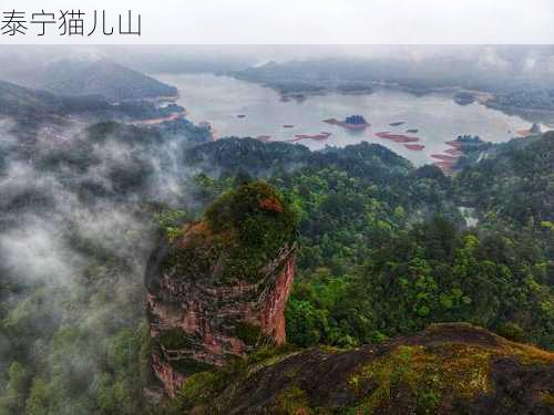 泰宁猫儿山