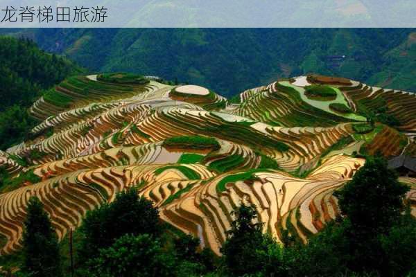 龙脊梯田旅游