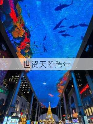 世贸天阶跨年