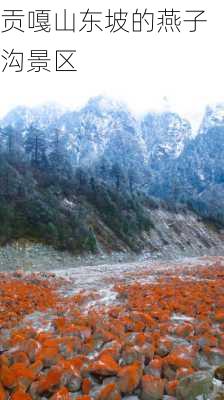 贡嘎山东坡的燕子沟景区