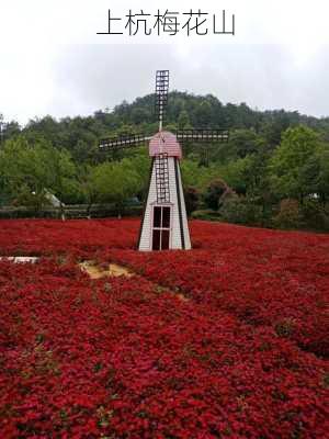 上杭梅花山