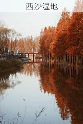 西沙湿地