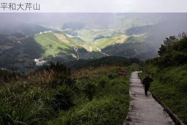 平和大芹山