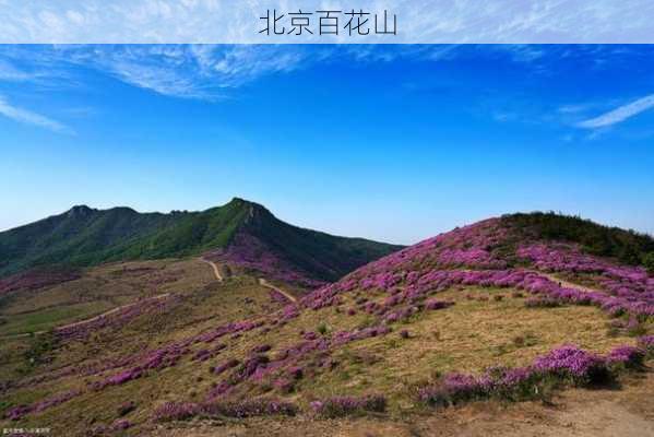 北京百花山