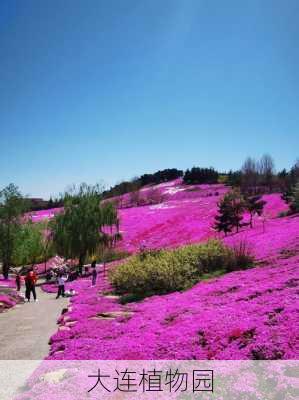 大连植物园