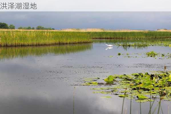 洪泽湖湿地