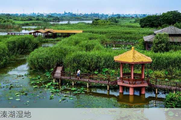 溱湖湿地