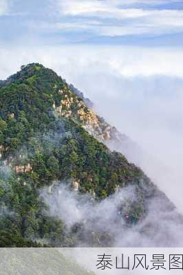 泰山风景图