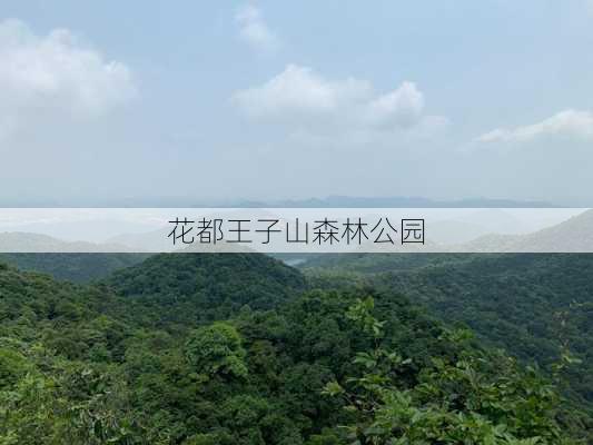 花都王子山森林公园