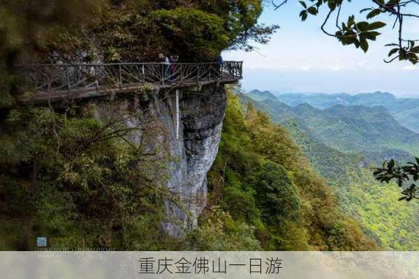 重庆金佛山一日游