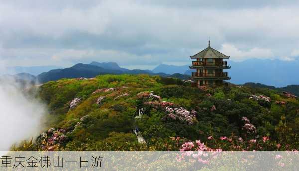 重庆金佛山一日游