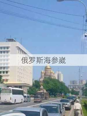 俄罗斯海参崴