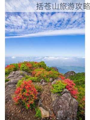 括苍山旅游攻略