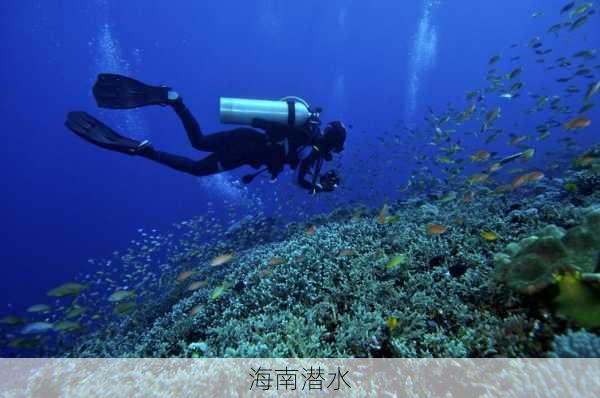 海南潜水