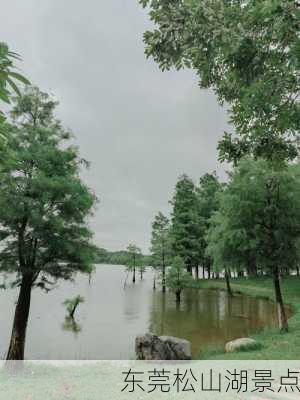 东莞松山湖景点