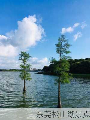 东莞松山湖景点