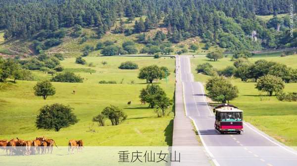 重庆仙女山