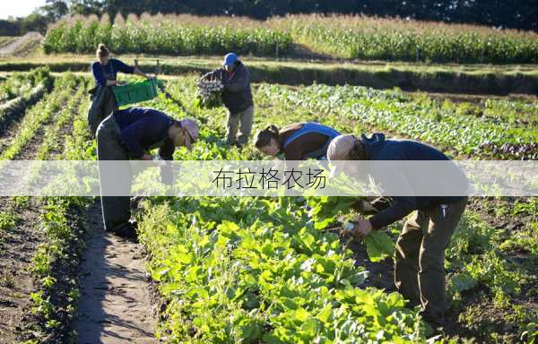 布拉格农场