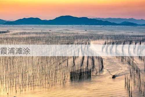 霞浦滩涂