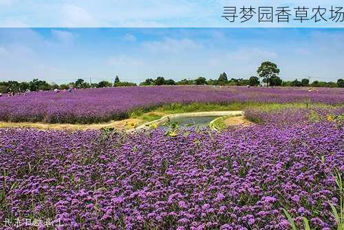 寻梦园香草农场