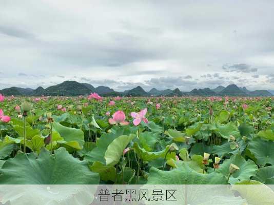 普者黑风景区