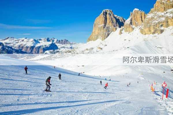 阿尔卑斯滑雪场