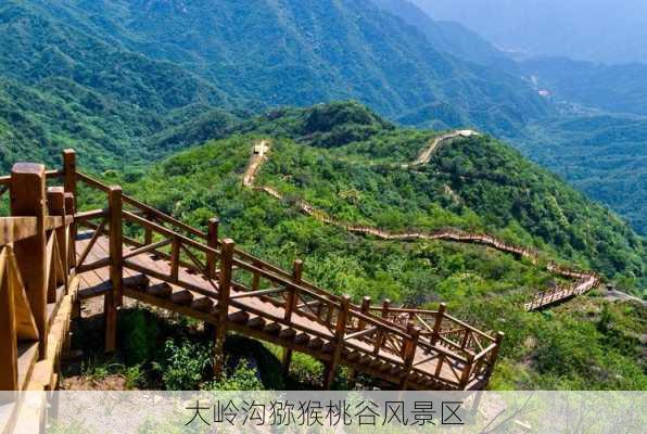 大岭沟猕猴桃谷风景区