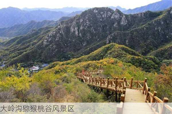 大岭沟猕猴桃谷风景区