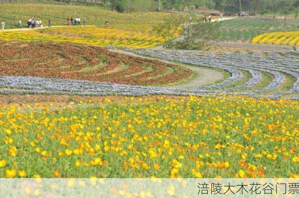 涪陵大木花谷门票