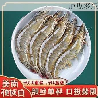 厄瓜多尔