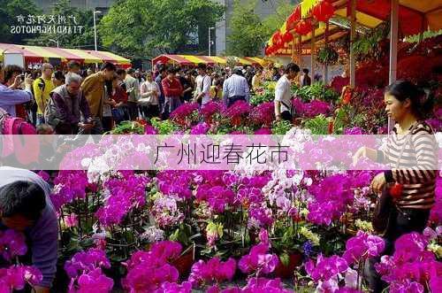 广州迎春花市