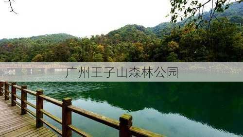 广州王子山森林公园