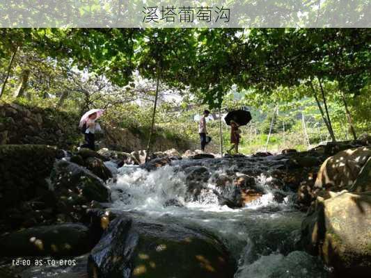 溪塔葡萄沟