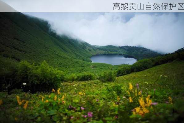 高黎贡山自然保护区