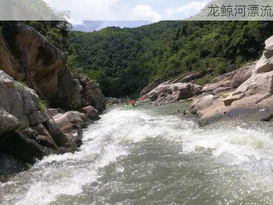 龙鲸河漂流