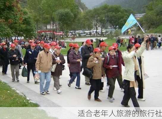 适合老年人旅游的旅行社