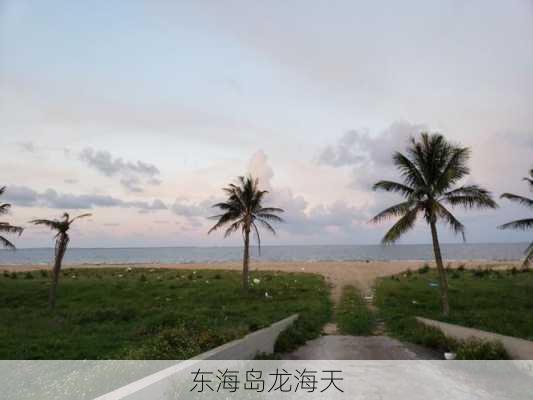 东海岛龙海天