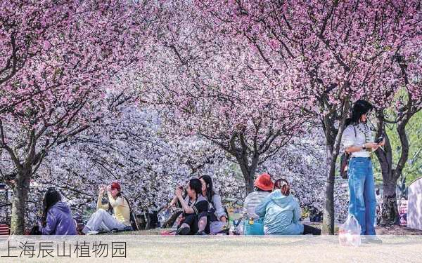 上海辰山植物园