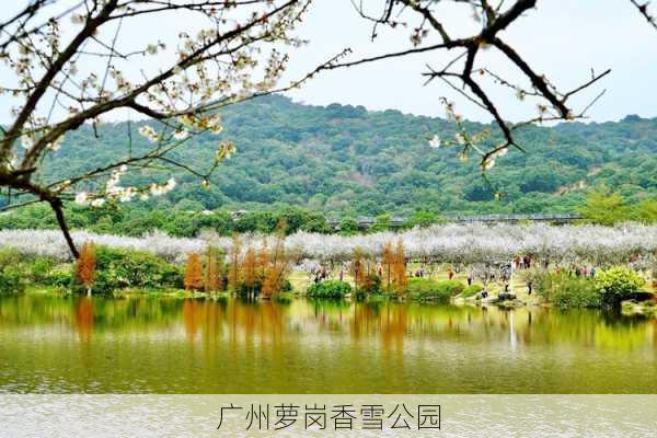 广州萝岗香雪公园