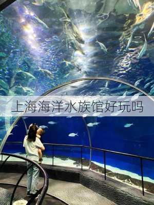 上海海洋水族馆好玩吗