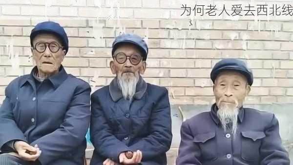 为何老人爱去西北线